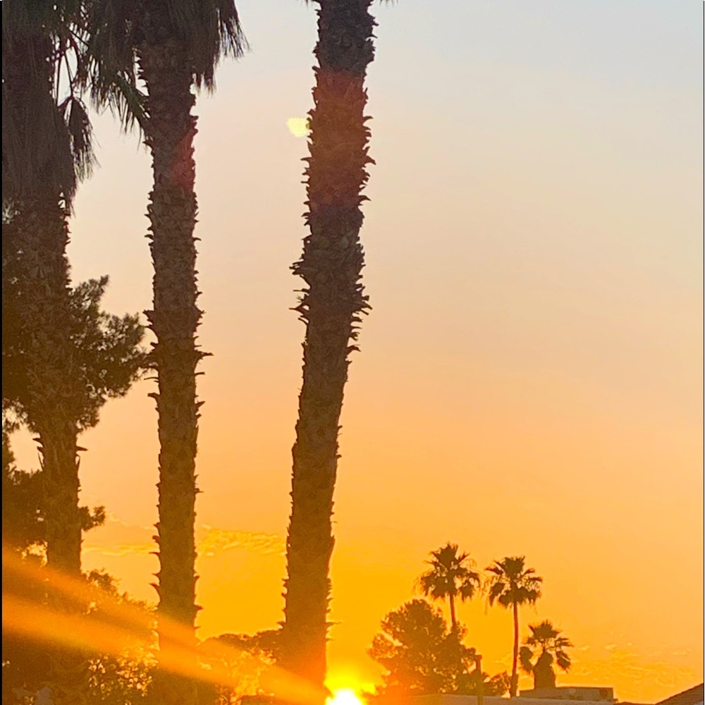 Meet your Posher, Kylee